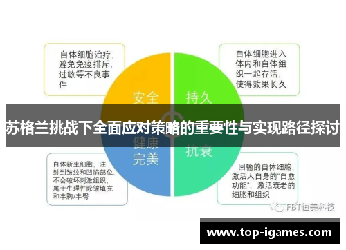 苏格兰挑战下全面应对策略的重要性与实现路径探讨