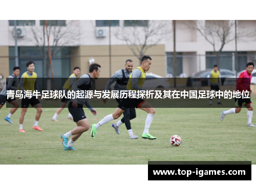 青岛海牛足球队的起源与发展历程探析及其在中国足球中的地位