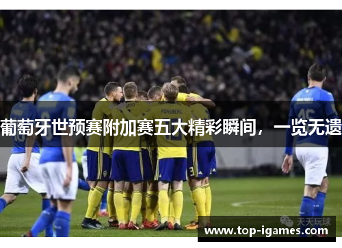 葡萄牙世预赛附加赛五大精彩瞬间,一览无遗 葡萄牙世预赛附加赛五大精彩瞬间,一览无遗