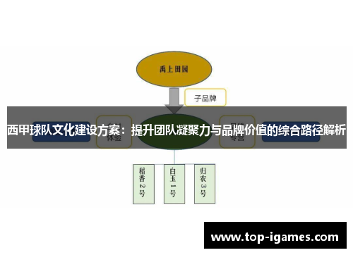 西甲球队文化建设方案:提升团队凝聚力与品牌价值的综合路径解析 西甲球队文化建设方案:提升团队凝聚力与品牌价值的综合路径解析