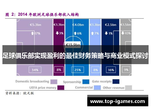 足球俱乐部实现盈利的最佳财务策略与商业模式探讨 足球俱乐部实现盈利的最佳财务策略与商业模式探讨